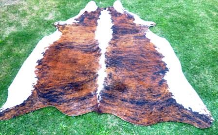 Brindle with spine cowhide