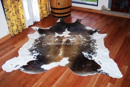 Tricolor cowhide